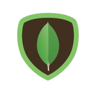 MongoDB Icon